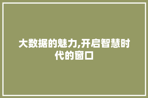 大数据的魅力,开启智慧时代的窗口