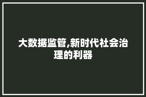 大数据监管,新时代社会治理的利器