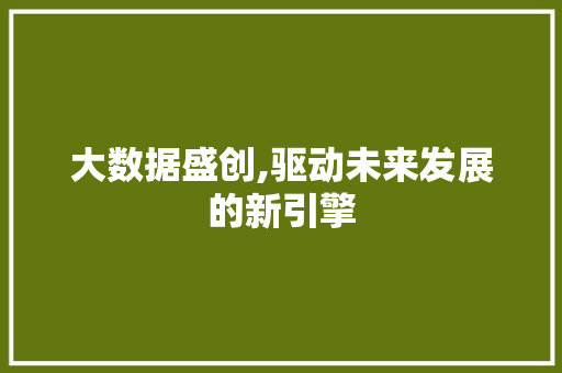 大数据盛创,驱动未来发展的新引擎 网站建设公司