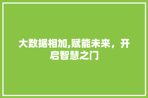 大数据相加,赋能未来，开启智慧之门 网站建设公司