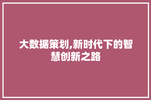 大数据策划,新时代下的智慧创新之路 网站建设公司