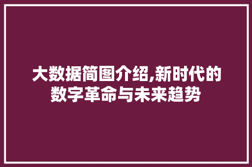 大数据简图介绍,新时代的数字革命与未来趋势 神马SEO