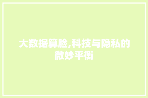 大数据算脸,科技与隐私的微妙平衡 网站建设公司