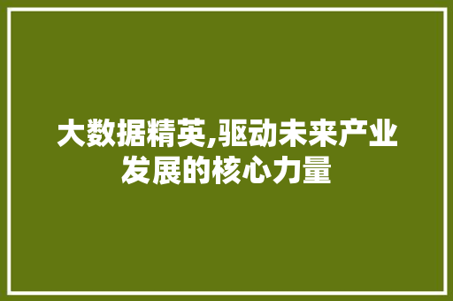 大数据精英,驱动未来产业发展的核心力量 搜狗SEO