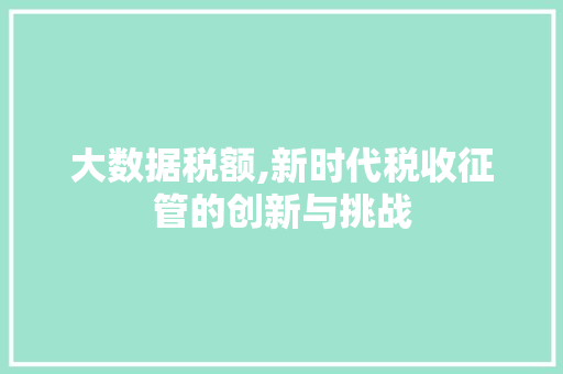 大数据税额,新时代税收征管的创新与挑战 神马SEO