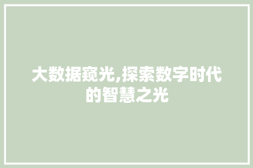 大数据窥光,探索数字时代的智慧之光 网站建设公司