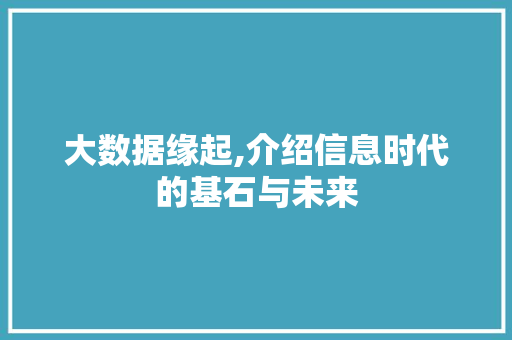 大数据缘起,介绍信息时代的基石与未来 SEO关键词