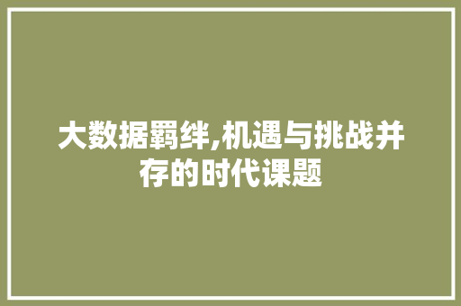 大数据羁绊,机遇与挑战并存的时代课题 必应SEO