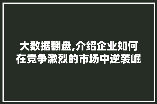 大数据翻盘,介绍企业如何在竞争激烈的市场中逆袭崛起 SEO关键词