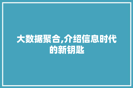 大数据聚合,介绍信息时代的新钥匙 网站建设公司