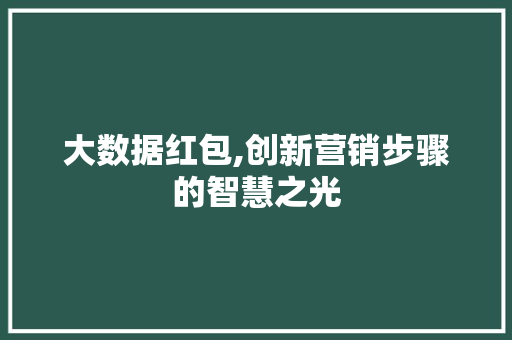 大数据红包,创新营销步骤的智慧之光 神马SEO