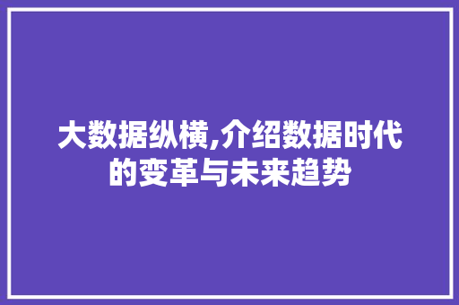 大数据纵横,介绍数据时代的变革与未来趋势 必应SEO