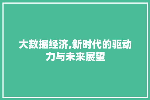 大数据经济,新时代的驱动力与未来展望 神马SEO
