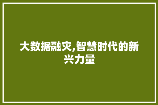 大数据融灾,智慧时代的新兴力量 必应SEO