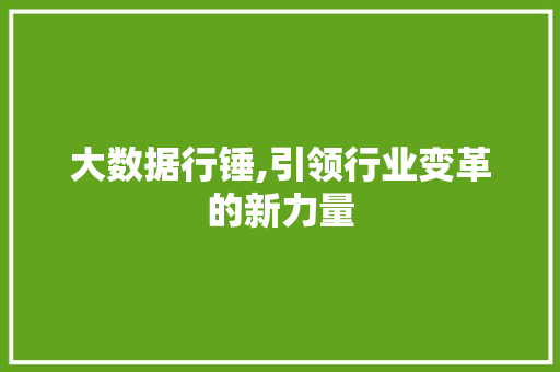 大数据行锤,引领行业变革的新力量 百度SEO