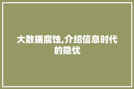 大数据腐蚀,介绍信息时代的隐忧 必应SEO