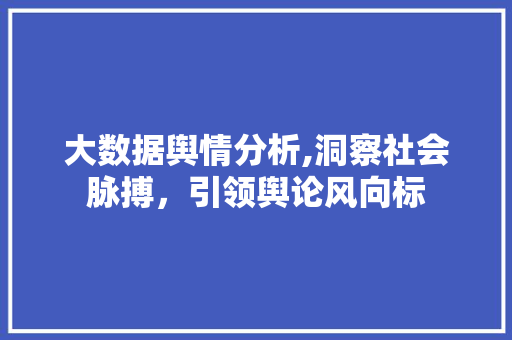 大数据舆情分析,洞察社会脉搏，引领舆论风向标 网站建设公司