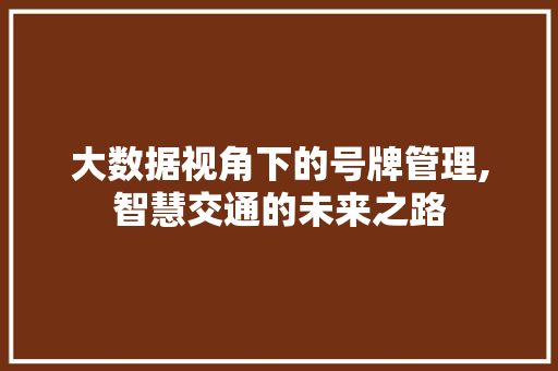 大数据视角下的号牌管理,智慧交通的未来之路