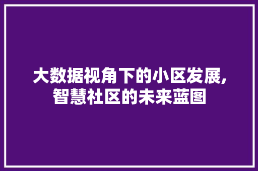 大数据视角下的小区发展,智慧社区的未来蓝图