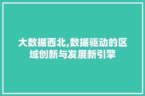大数据西北,数据驱动的区域创新与发展新引擎 SEO关键词
