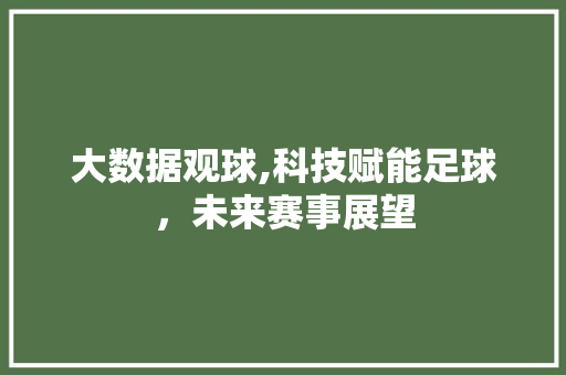 大数据观球,科技赋能足球，未来赛事展望 SEO关键词