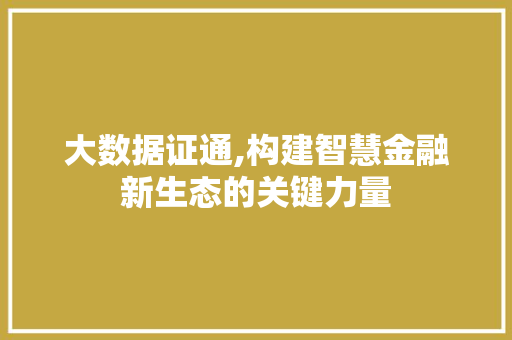 大数据证通,构建智慧金融新生态的关键力量 必应SEO