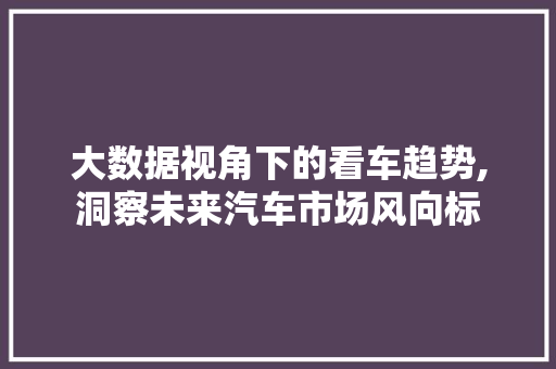 大数据视角下的看车趋势,洞察未来汽车市场风向标