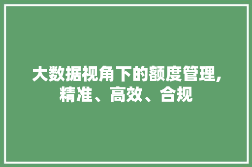 大数据视角下的额度管理,精准、高效、合规 网站建设公司