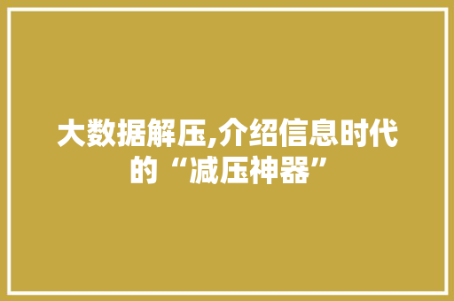 大数据解压,介绍信息时代的“减压神器”