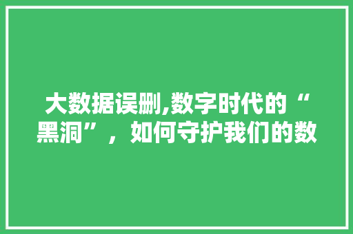 大数据误删,数字时代的“黑洞”，如何守护我们的数据安全 必应SEO