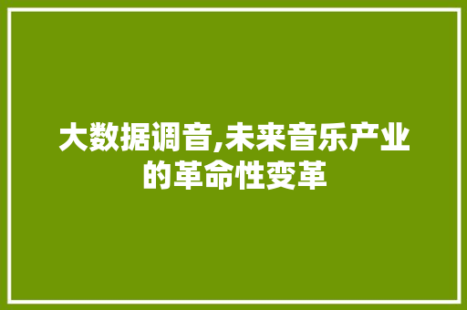 大数据调音,未来音乐产业的革命性变革 SEO关键词
