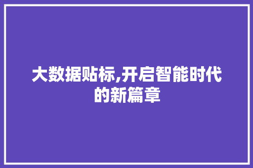 大数据贴标,开启智能时代的新篇章