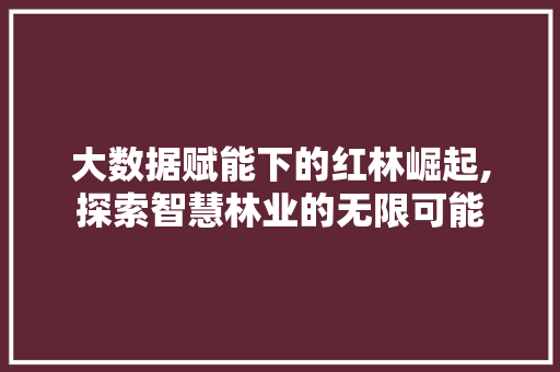 大数据赋能下的红林崛起,探索智慧林业的无限可能 SEO关键词