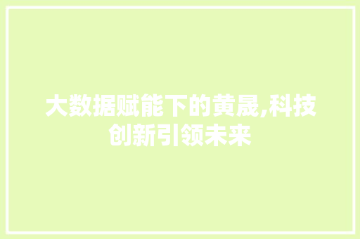 大数据赋能下的黄晟,科技创新引领未来 SEO关键词