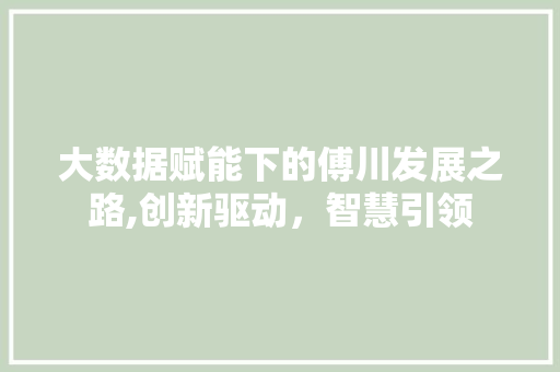 大数据赋能下的傅川发展之路,创新驱动，智慧引领