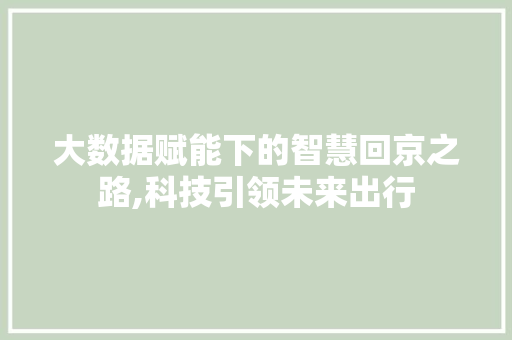 大数据赋能下的智慧回京之路,科技引领未来出行 必应SEO