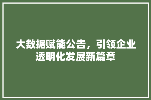大数据赋能公告，引领企业透明化发展新篇章