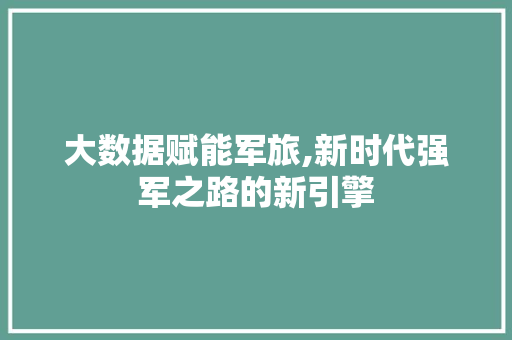 大数据赋能军旅,新时代强军之路的新引擎