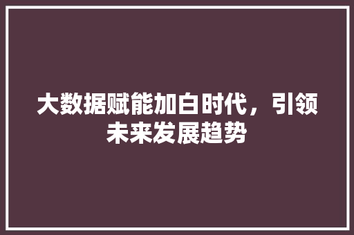 大数据赋能加白时代，引领未来发展趋势 百度SEO