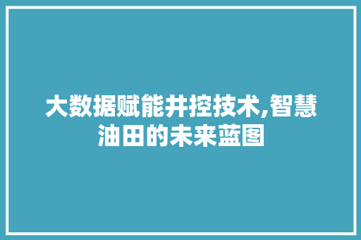 大数据赋能井控技术,智慧油田的未来蓝图 网站建设公司
