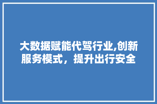 大数据赋能代驾行业,创新服务模式，提升出行安全 百度SEO
