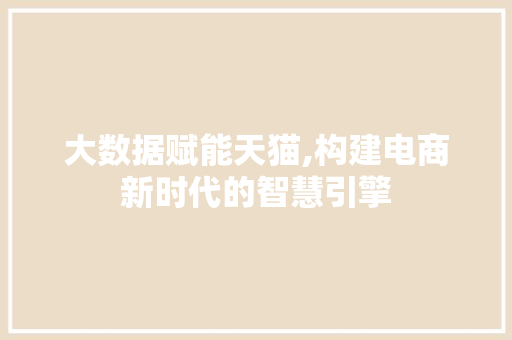 大数据赋能天猫,构建电商新时代的智慧引擎