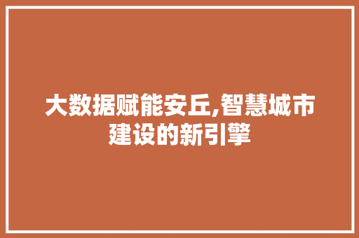 大数据赋能安丘,智慧城市建设的新引擎 搜狗SEO