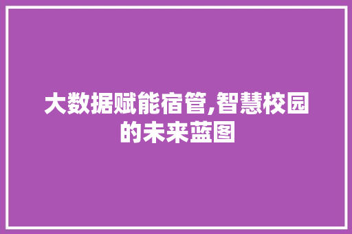 大数据赋能宿管,智慧校园的未来蓝图 SEO关键词