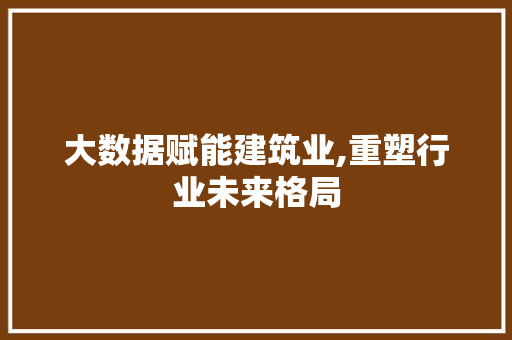 大数据赋能建筑业,重塑行业未来格局