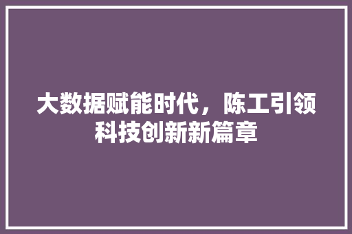 大数据赋能时代，陈工引领科技创新新篇章 网站建设公司