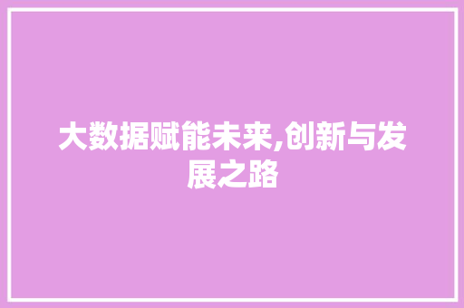 大数据赋能未来,创新与发展之路 必应SEO