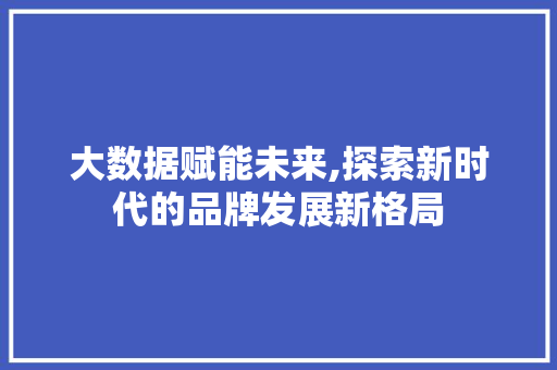 大数据赋能未来,探索新时代的品牌发展新格局