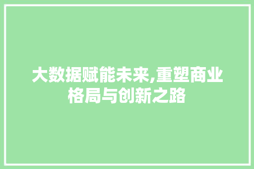 大数据赋能未来,重塑商业格局与创新之路 神马SEO