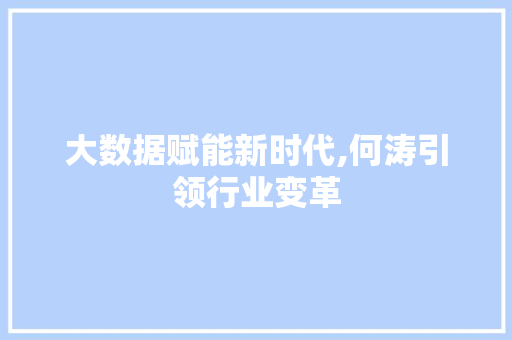 大数据赋能新时代,何涛引领行业变革